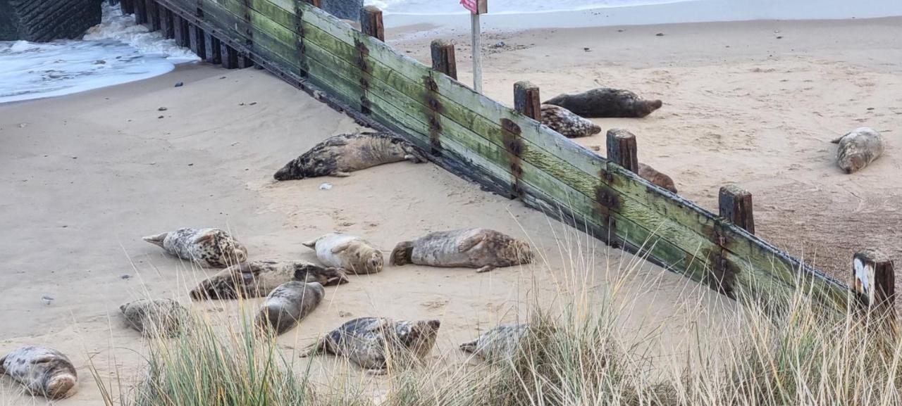Twin Palms Guesthouse Great Yarmouth Extérieur photo